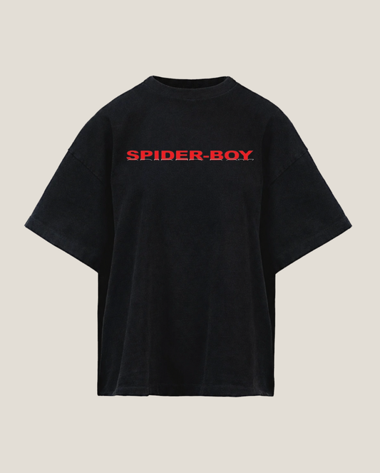 SPIDER BOY